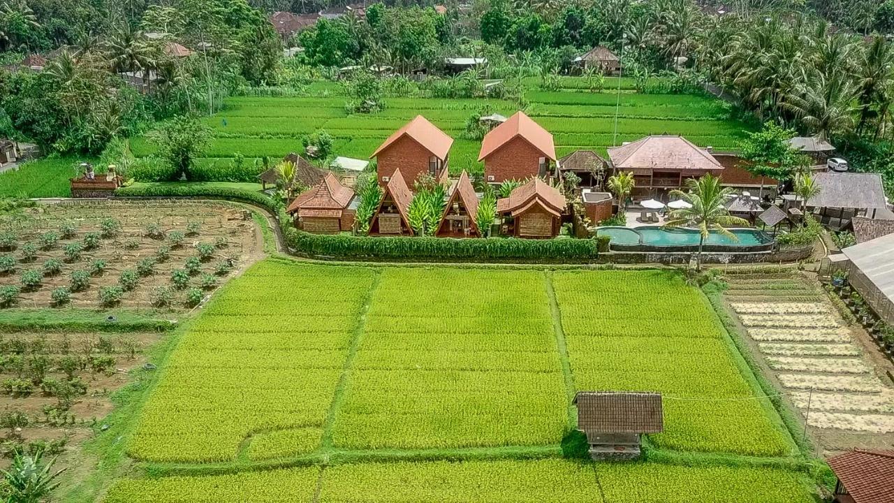 Alam Kawi Ubud Resort & Spa Gianyar  Luaran gambar