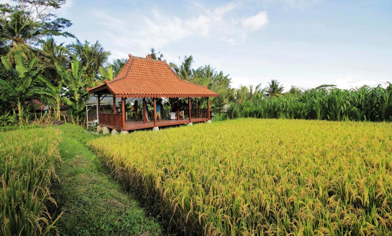 Alam Kawi Ubud Resort & Spa Gianyar  Luaran gambar